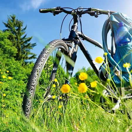 Hotel Purlilium Porcia